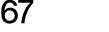 67