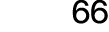66